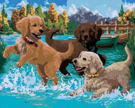 Zuty - Painting by Numbers - Puppies Playing in Water (Image World-Rc), 40X50 Cm, Canvas - Painting by Numbers