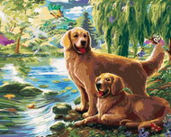Zuty - Painting By Numbers - Golden Retriever At The Lake (Image World-Ap), 40X50 Cm, Canvas+Frame - Painting by Numbers