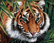 Zuty - Painting by Numbers - Tiger in Leaves (Image World-Ap), 40X50 Cm, Canvas - Painting by Numbers
