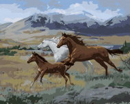 Zuty - Painting by Numbers - Running Horses, Foal and Mountains (Joe Hautman), 40X50 Cm, Canvas - Painting by Numbers