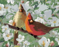 Zuty - Painting by Numbers - Cardinal Bird And White Blossoming Branch Ii (Joe Hautman), 40X50 Cm, C - Painting by Numbers