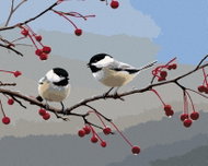 Zuty - Painting by Numbers - Titmouse and Branch with Fruits (Joe Hautman), 40X50 Cm, Canvas - Painting by Numbers