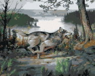 Zuty - Painting by Numbers - Wolf on the Run, Pond and Trees (Joe Hautman), 40X50 Cm, Canvas+Frame - Painting by Numbers