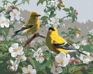 Zuty - Painting by Numbers - Stork Bird And White Blossoming Branch (Joe Hautman), 40X50 Cm, Canvas - Painting by Numbers