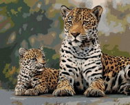 Zuty - Painting by Numbers - Leopard And Cub (Joe Hautman), 40X50 Cm, Canvas+Frame - Painting by Numbers