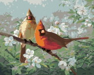 Zuty - Painting by Numbers - Cardinal Bird And White Blossoming Branch (Joe Hautman), 40X50 Cm, Canv - Painting by Numbers