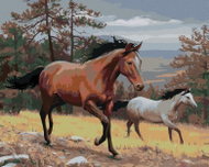 Zuty - Painting by Numbers - Running Horses and Mountains (Joe Hautman), 40X50 Cm, Canvas - Painting by Numbers