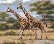 Zuty - Painting by Numbers - African Safari Giraffes (Joe Hautman), 80X100 Cm, Canvas - Painting by Numbers