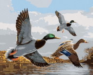 Zuty - Painting by Numbers - Ducks in Flight and Pond (Joe Hautman), 40X50 Cm, Canvas+Frame - Painting by Numbers