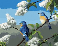 Zuty - Painting by Numbers - Songbird and Lilac (Robert Hautman), 40X50 Cm, Canvas+Frame - Painting by Numbers