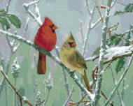 Zuty - Painting by Numbers - Cardinal Bird on a Snowy Branch (James Hautman), 80X100 Cm, Canvas - Painting by Numbers