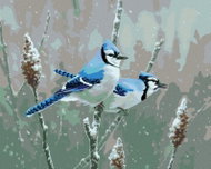 Zuty - Painting by Numbers - Snowy Owl on a Snowy Branch (James Hautman), 40X50 Cm, Canvas+ - Painting by Numbers