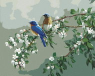 Zuty - Painting by Numbers - Blue Birds and Blossoming Branch (James Hautman), 40X50 Cm, Canvas - Painting by Numbers
