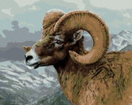 Zuty - Painting by Numbers - Fat-Horned Sheep and Mountains (James Hautman), 80X100 Cm, Canvas - Painting by Numbers