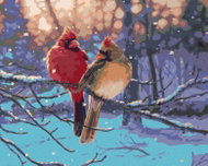 Zuty - Painting by Numbers - Cardinal Bird in Winter (Darrell Bush), 40X50 Cm, Canvas+Frame - Painting by Numbers