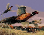 Zuty - Painting By Numbers - Pheasants In Flight And Tractor (James Hautman), 40X50 Cm, Canvas+Frame - Painting by Numbers