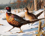 Zuty - Painting By Numbers - Pheasant With Companion In The Snow (James Hautman), 80X100 Cm, Canvas - Painting by Numbers