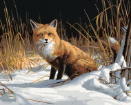Zuty - Painting by Numbers - Fox in the Snow (James Hautman), 80X100 Cm, Canvas - Painting by Numbers