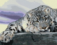 Zuty - Painting by Numbers - Irbis Lying on a Rock (Al Agnew), 80X100 Cm, Canvas - Painting by Numbers
