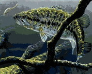 Zuty - Painting by Numbers - Fish And Hook (Al Agnew), 40X50 Cm, Canvas+Frame - Painting by Numbers