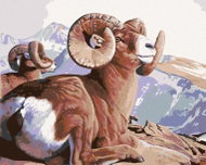 Zuty - Painting by Numbers - Fat-horned Sheep on Rock (Al Agnew), 80X100 Cm, Canvas - Painting by Numbers