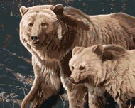 Zuty - Painting by Numbers - Bear With Cub (Al Agnew), 40X50 Cm, Canvas+Frame - Painting by Numbers