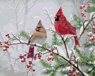 Zuty - Painting by Numbers - Cardinal Bird on a Branch and Red Fruits (Abraham Hunter), 40X50 Cm, Ca - Painting by Numbers
