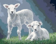 Zuty - Painting by Numbers - Lamb in the Grass (Abraham Hunter), 40X50 Cm, Canvas+Frame - Painting by Numbers