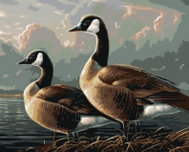Zuty - Painting by Numbers - Canadian Goose by the Water (Abraham Hunter), 80X100 Cm, Canvas - Painting by Numbers