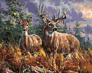 Zuty - Painting by Numbers - Deer With Companion And Forest (Abraham Hunter), 80X100 Cm, Canvas - Painting by Numbers