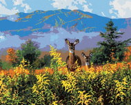 Zuty - Painting by Numbers - Deer With a Colt And Mountains (Abraham Hunter), 40X50 Cm, Canvas+Frame - Painting by Numbers