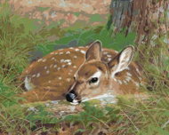 Zuty - Painting by Numbers - Lying Grasshopper (Abraham Hunter), 40X50 Cm, Canvas+Frame - Painting by Numbers