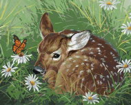 Zuty - Painting by Numbers - Carol and Butterfly in Daisies (Abraham Hunter), 40X50 Cm, Canvas+Frame - Painting by Numbers