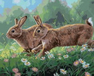 Zuty - Painting by Numbers - Rabbits in Spring Flowers (Abraham Hunter), 40X50 Cm, Canvas - Painting by Numbers