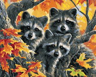 Zuty - Painting by Numbers - Three Raccoons in Autumn (Abraham Hunter), 40X50 Cm, Canvas - Painting by Numbers