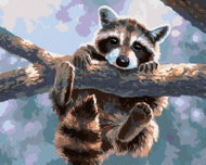 Zuty - Painting By Numbers - Raccoon Hanging On A Branch (Abraham Hunter), 40X50 Cm, Canvas - Painting by Numbers