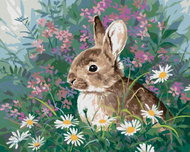 Zuty - Painting By Numbers - Rabbit In Flowers (Abraham Hunter), 40X50 Cm, Canvas - Painting by Numbers