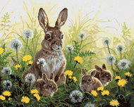 Zuty - Painting by Numbers - Hare With Cubs And Dandelions (Abraham Hunter), 40X50 Cm, Canvas - Painting by Numbers
