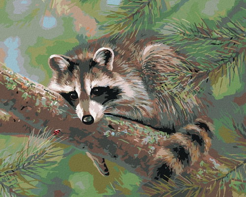 Zuty - Painting by Numbers - Raccoon Lying on a Branch (Abraham Hunter), 80X100 Cm, Canvas+Frame - Painting by Numbers - Main image