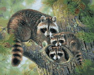 Zuty - Painting by Numbers - Raccoon With Cubs On Coniferous Tree (Abraham Hunter), 40X50 Cm, Canvas - Painting by Numbers