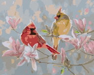 Zuty - Painting by Numbers - Cardinal Bird And Magnolia (Abraham Hunter), 40X50 Cm, Canvas+Frame - Painting by Numbers