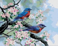Zuty - Painting by Numbers - Bird on a Flowering Branch (Abraham Hunter), 40X50 Cm, Canvas + Oil - Painting by Numbers