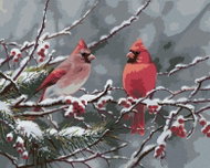Zuty - Painting by Numbers - Cardinal Bird on a Snowy Branch in Winter (Abraham Hunter), 40X50 Cm, P - Painting by Numbers