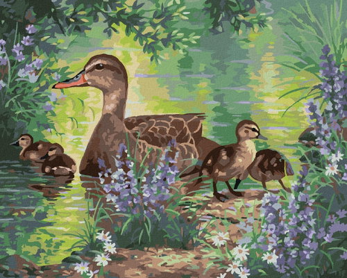 Zuty - Painting by Numbers - Duck and Ducklings on the Lake and Flowers (Abraham Hunter), 40X50 Cm,  - Painting by Numbers - Main image