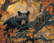 Zuty - Painting by Numbers - Black Bear on a Branch and Autumn Leaves (Abraham Hunter), 40X50 Cm, Ca - Painting by Numbers