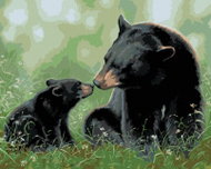 Zuty - Painting by Numbers - Bear Motherly Love (Abraham Hunter), 80X100 Cm, Canvas - Painting by Numbers