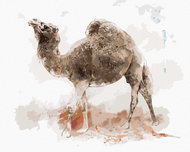 Zuty - Painting by Numbers - Camel, 40X50 Cm, Canvas - Painting by Numbers