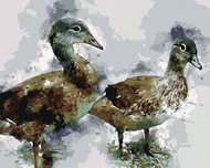 Zuty - Painting by Numbers - Young Ducks, 40X50 Cm, Canvas+Frame - Painting by Numbers