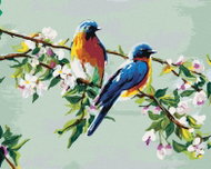 Zuty - Painting by Numbers - Two Birds on Apple Tree, 40X50 Cm, Canvas+Frame - Painting by Numbers