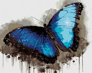 Zuty - Painting by Numbers - Blue-Black Butterfly, 40X50 Cm, Canvas+Frame - Painting by Numbers